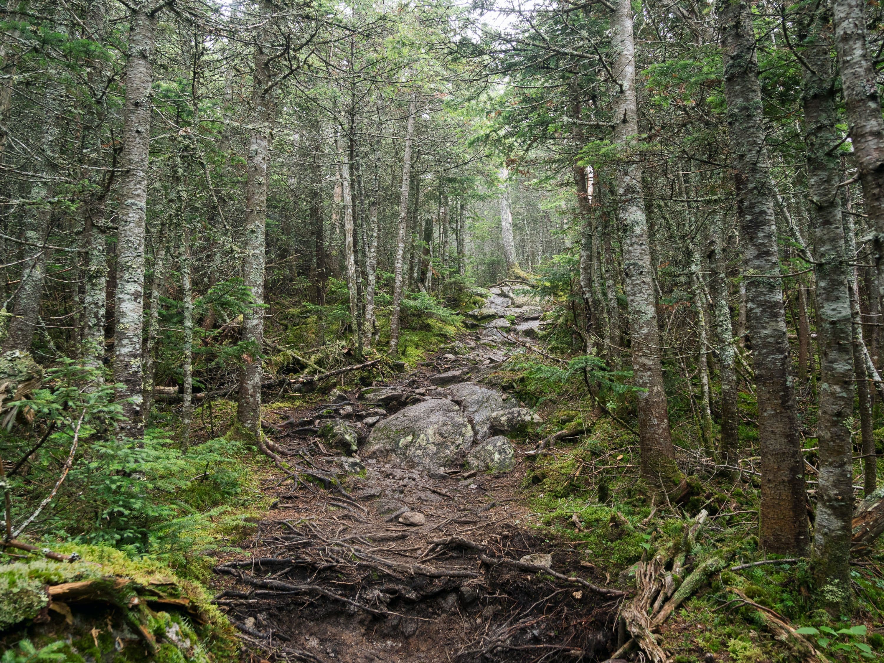 White Mountains, New Hampshire