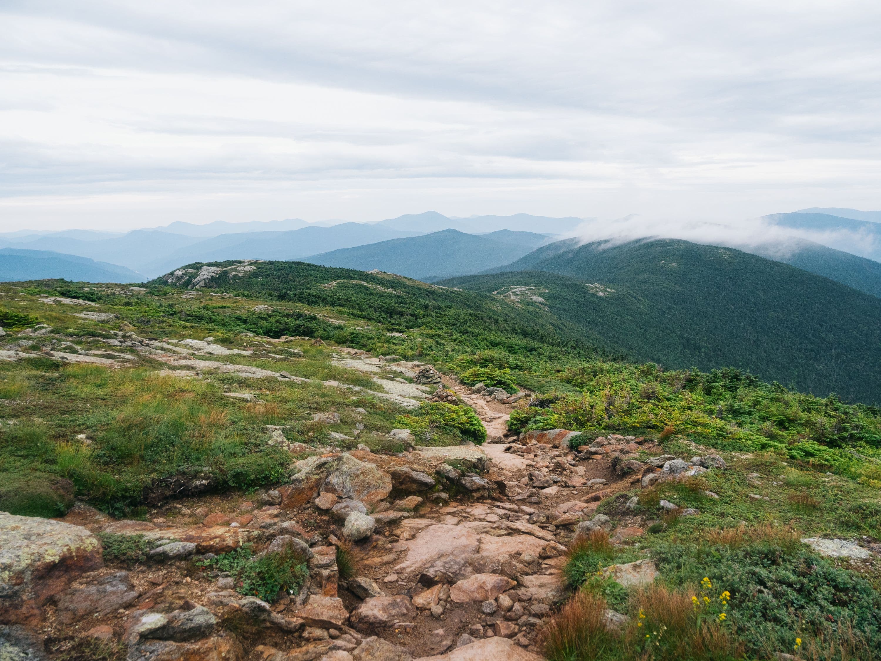 Crawford Path, White Mountains, New Hampshire