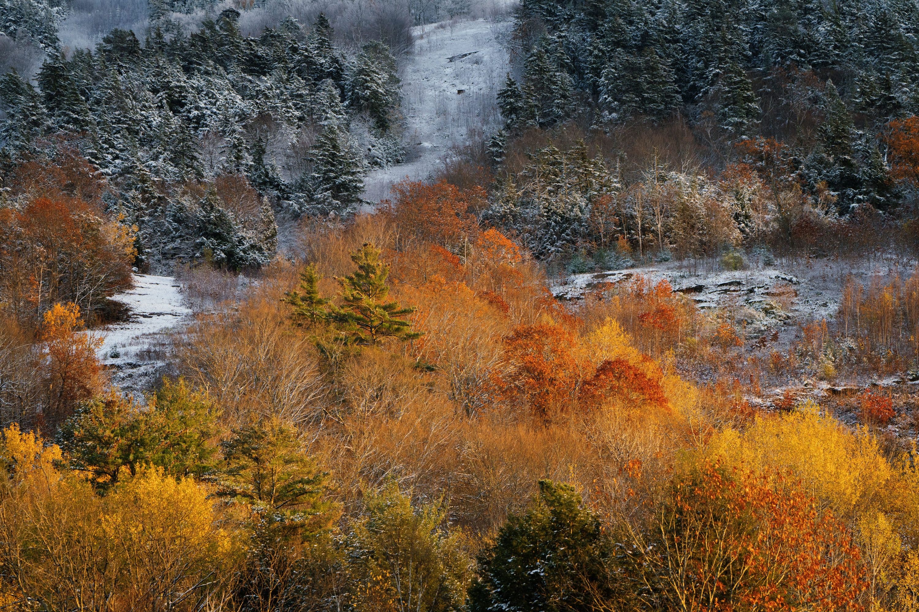 Mt. Ascutney Vertical Backyard